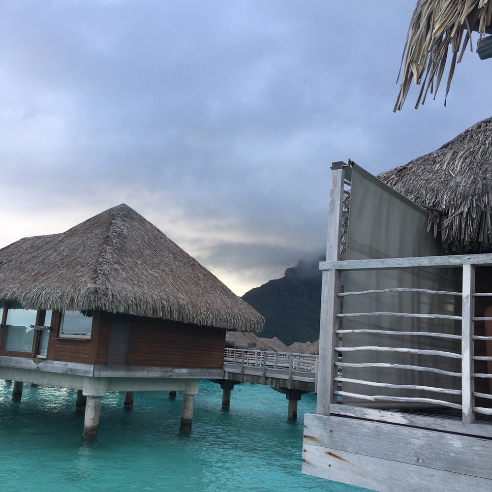 Meet your Posher, Sandy